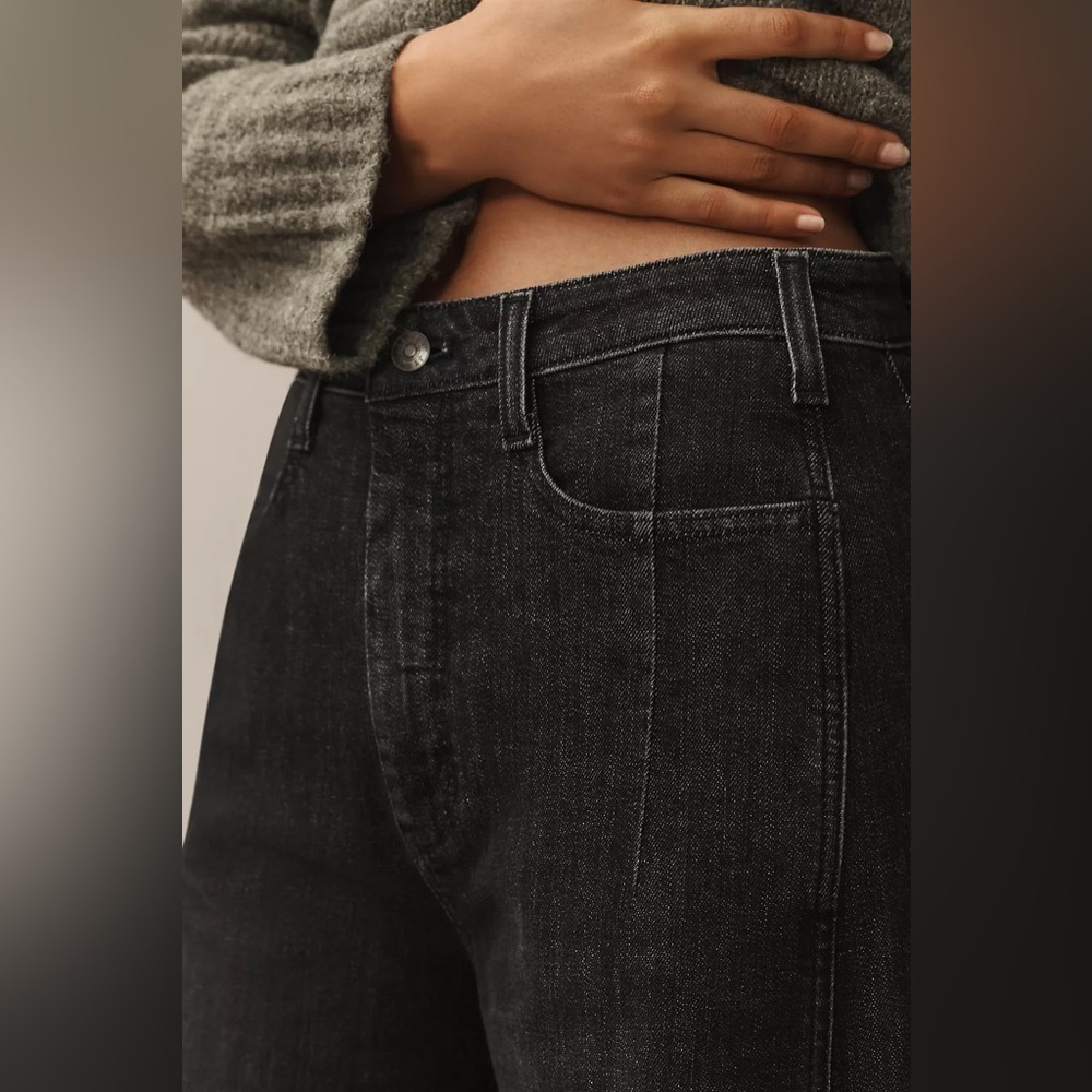 NWT Size 29 - The Kenna Mid-Rise Heritage Barrel Jeans by Pilcro Black - Picture 3 of 16